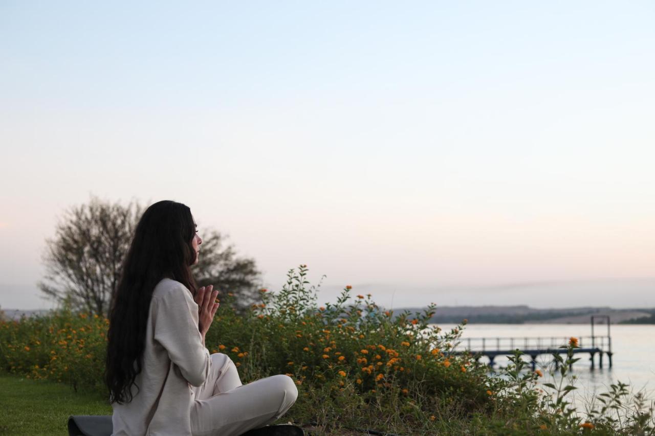 אסואן The Zen Wellness Resort מראה חיצוני תמונה